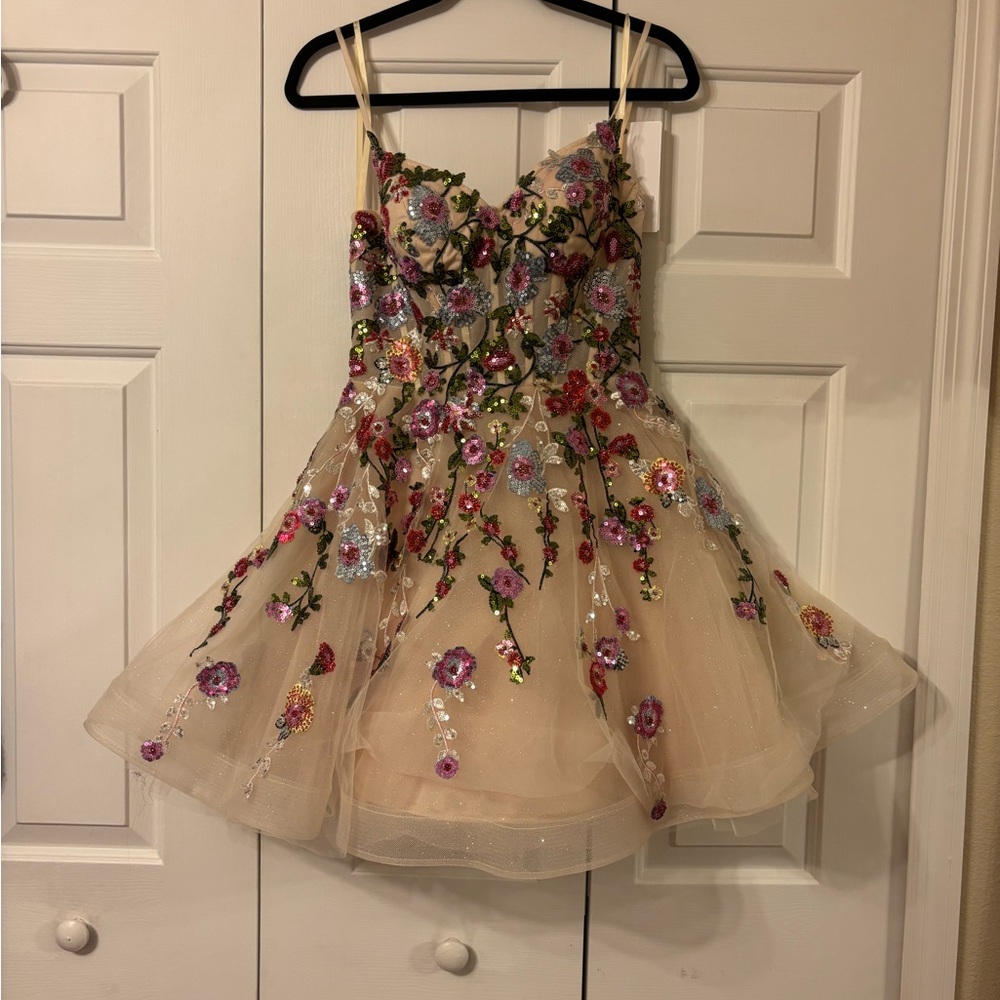 Thin Strap Floral Embroidered Mini Dress